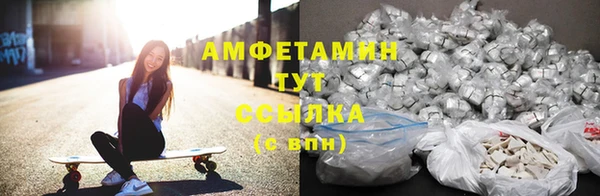 меф Ельня