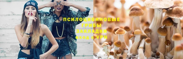стафф Елизово