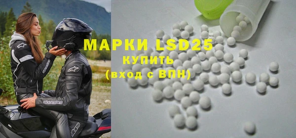 меф Ельня
