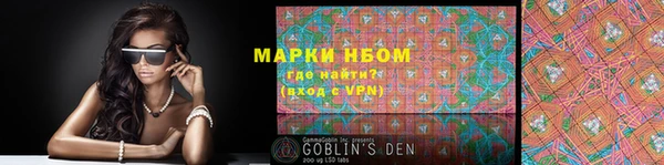 стафф Елизово
