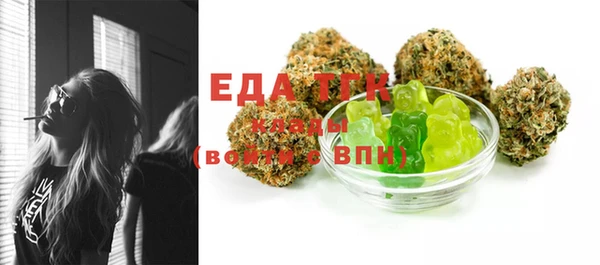 меф Ельня