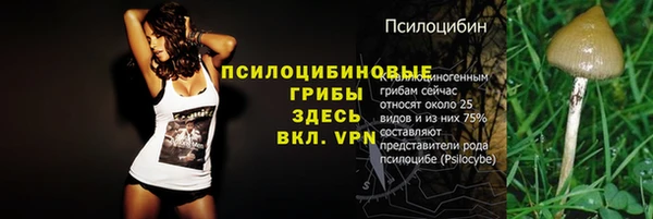 меф Ельня