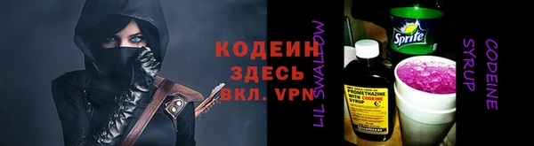 меф Ельня