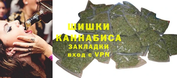 стафф Елизово