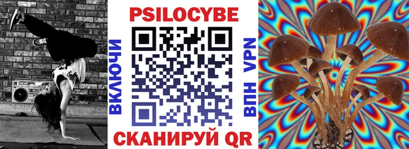 дарк нет наркотические препараты  Углегорск  Псилоцибиновые грибы Magic Shrooms 